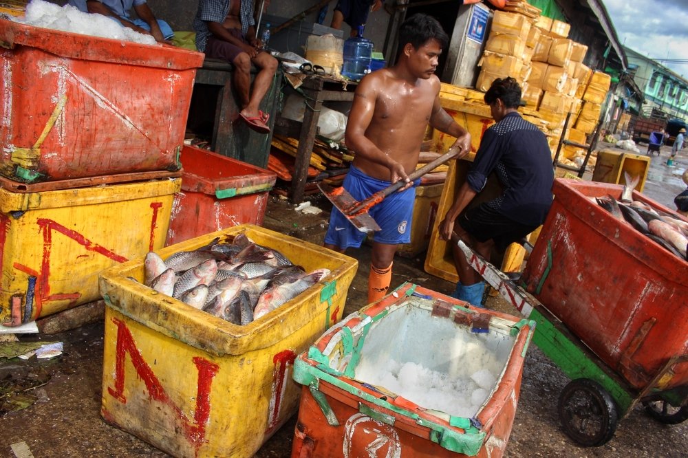 Фотография автора Xzo Mg