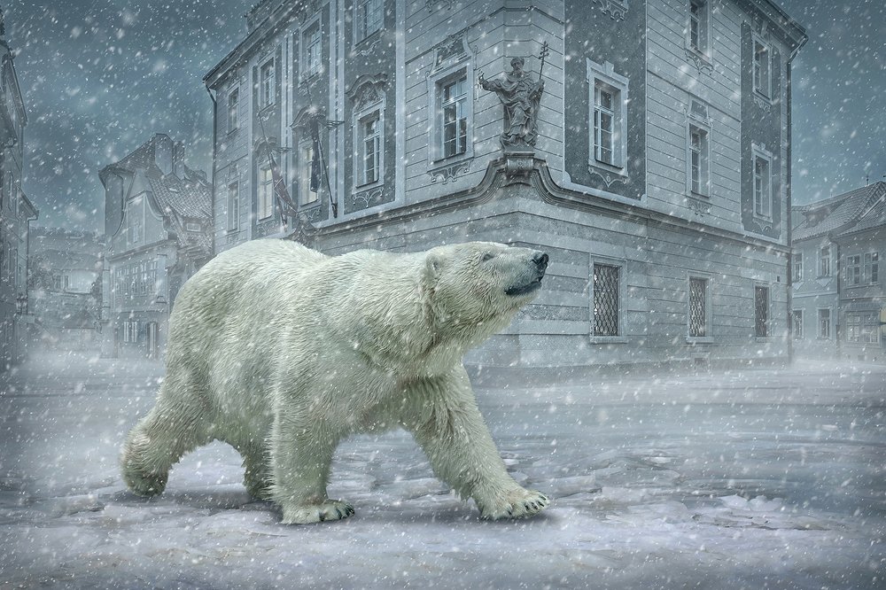 Photograph by Andrii Yurlov