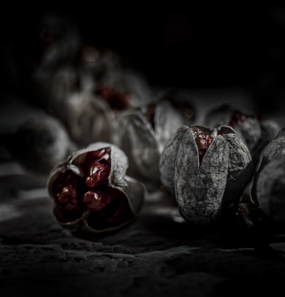 Фотография автора Марина Алексеевская