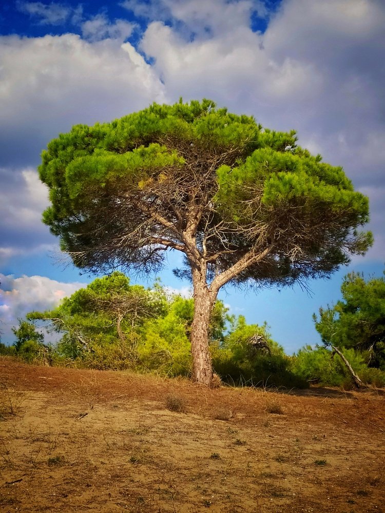 Photograph by Любовь Сухова