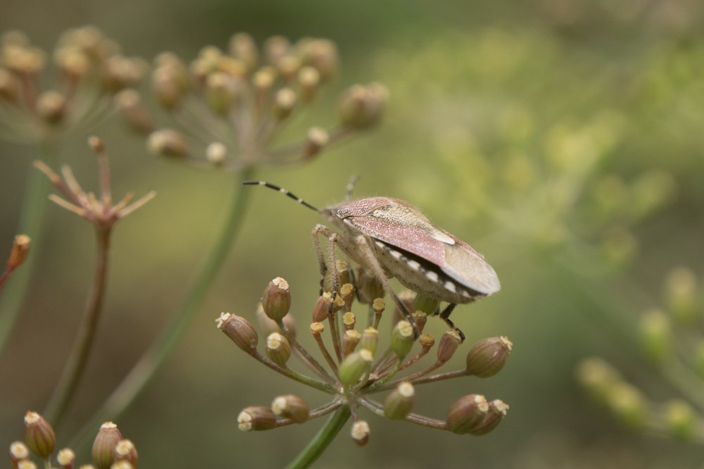 Photograph by Людмила Прибылова