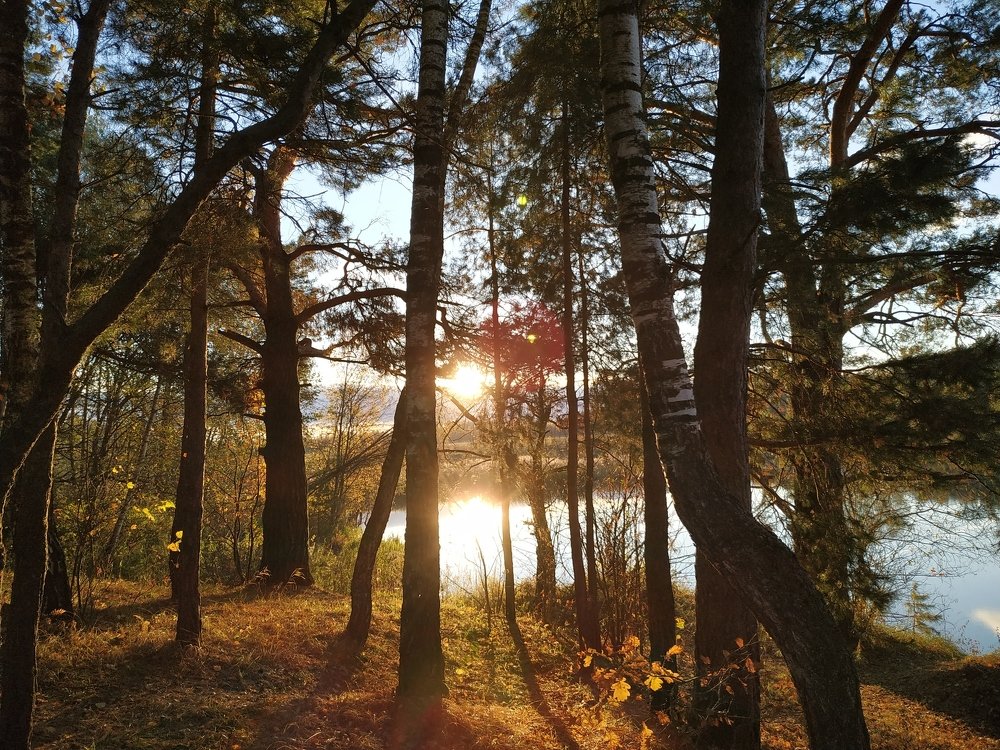 Photograph by Роксалана Лопатенкова