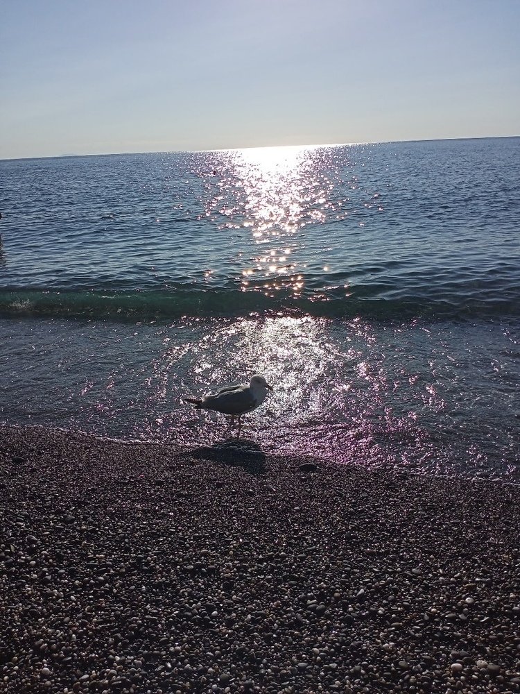Photograph by Вера Андреевна
