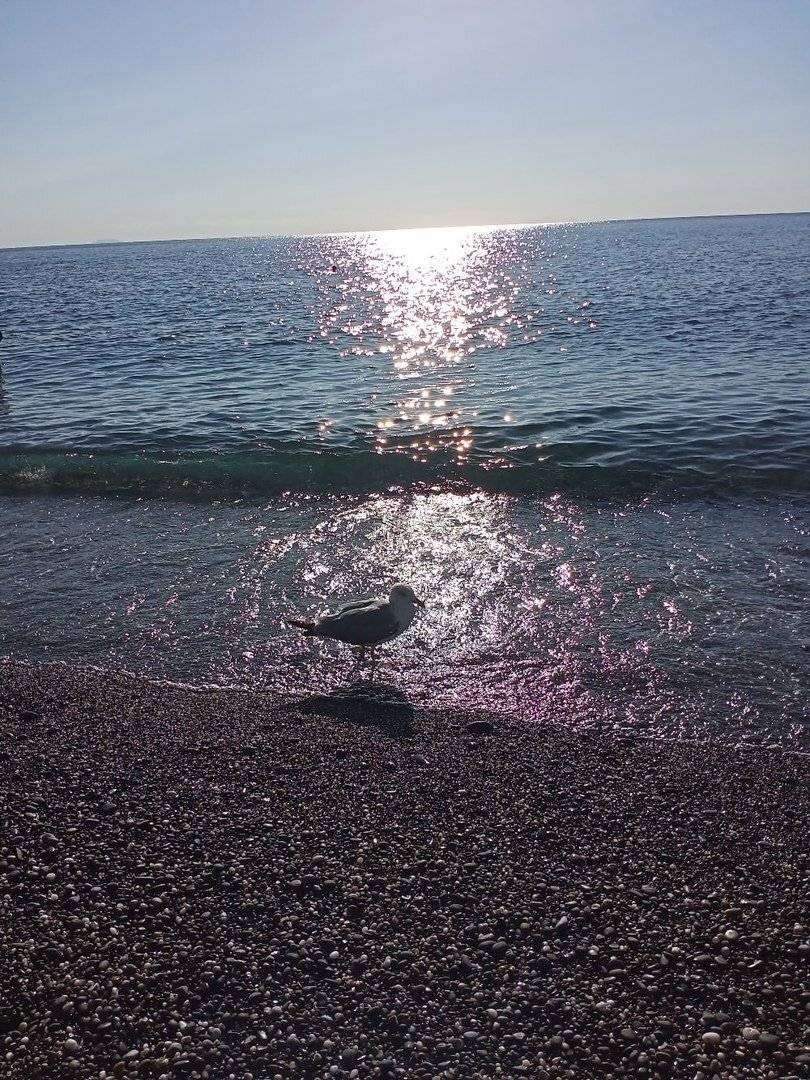 Photo #5214520