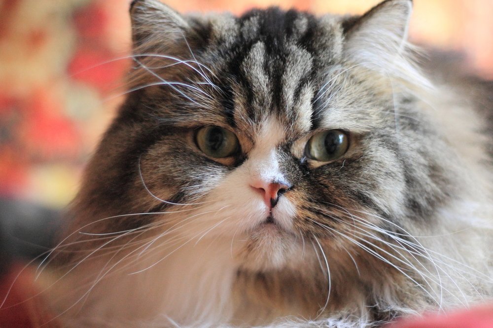 Photograph by Варвара Якубчик