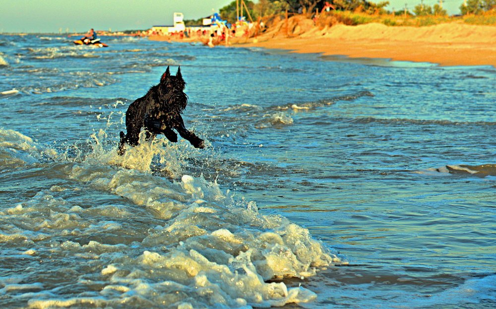 Photograph by vitaly.