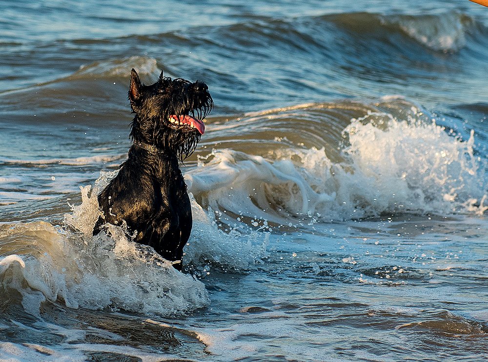 Photograph by vitaly.