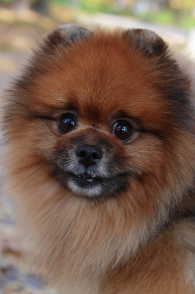 Photograph by Варвара Якубчик