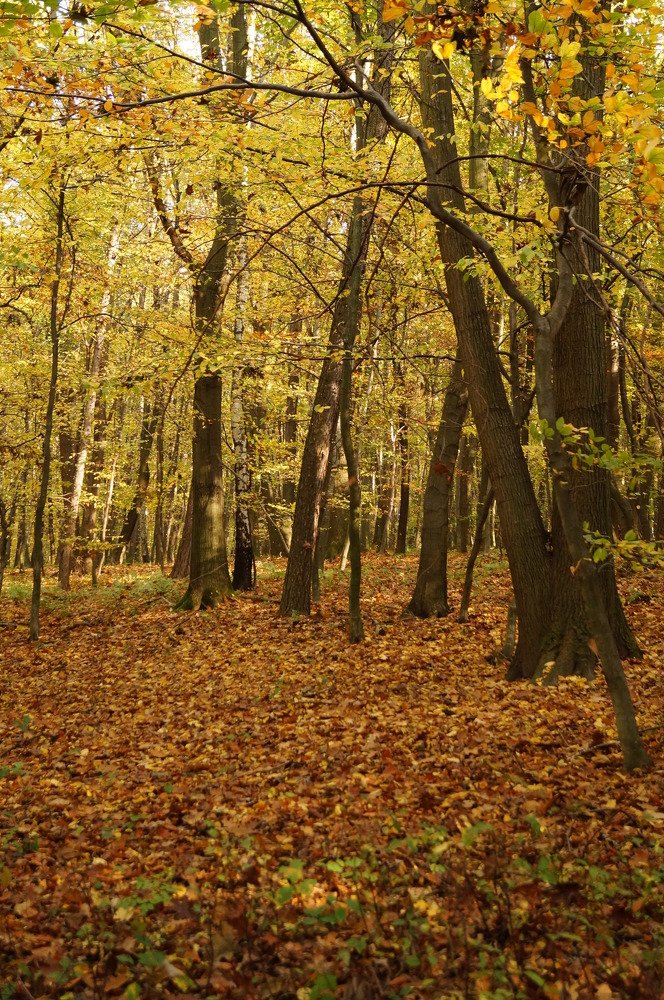 Photograph by Зафар Азизов
