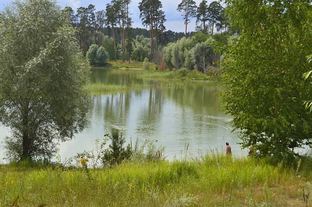 Фотография автора Клавдия Васильева