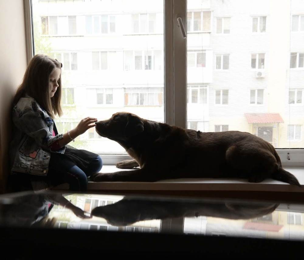 Фотография автора Дарья Хорошавцева