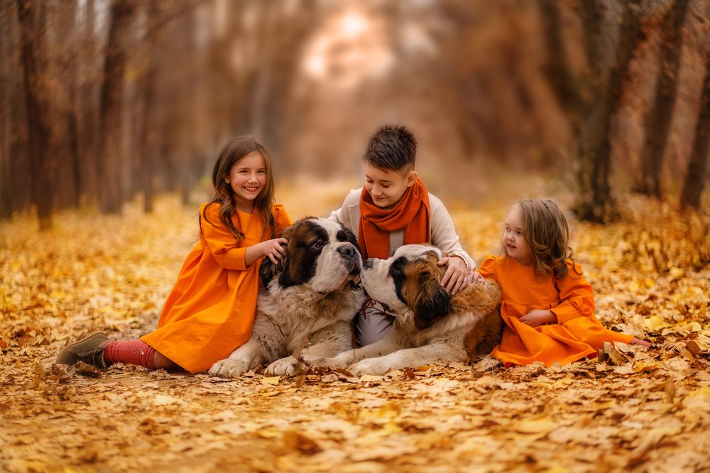 Друзья навсегда