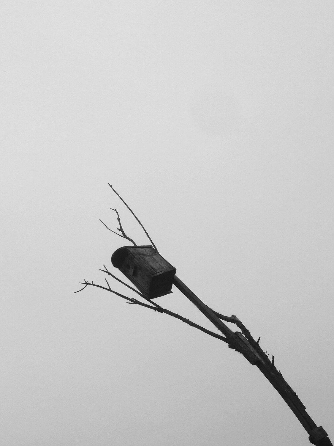 Photo #5214808