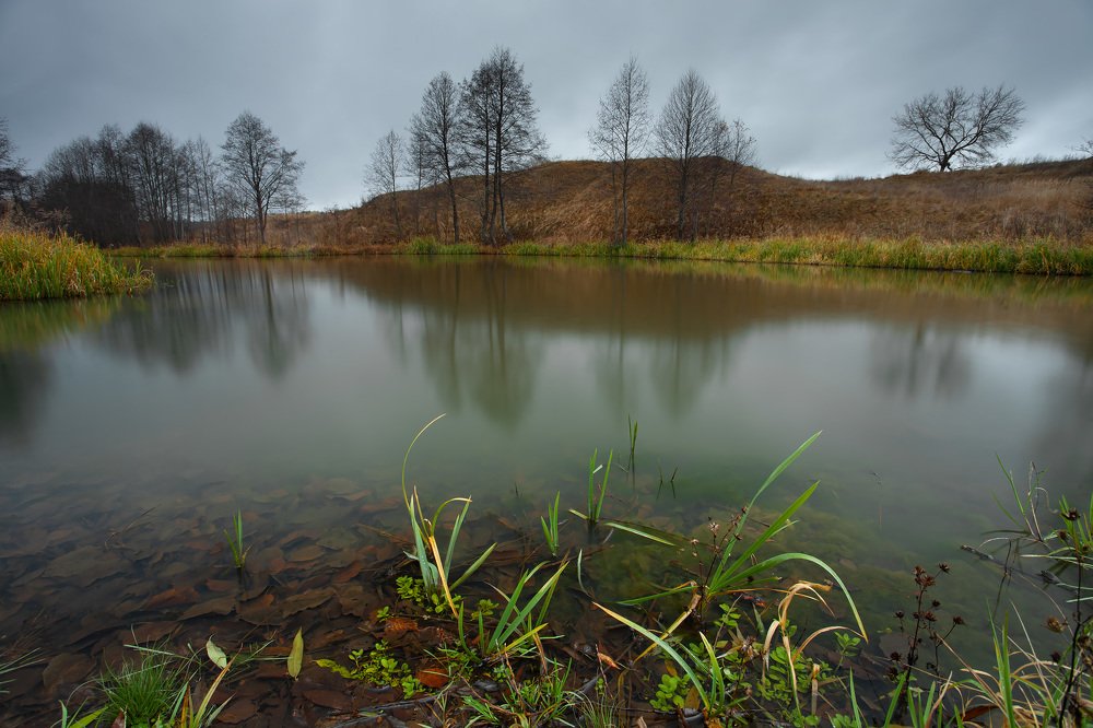 Photograph by Дмитрий Сдобин