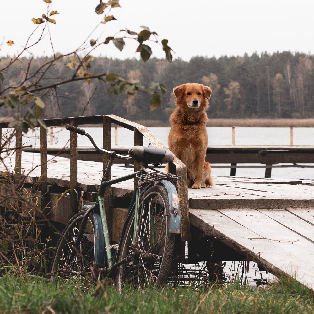 Photograph by Светлана Жорнова