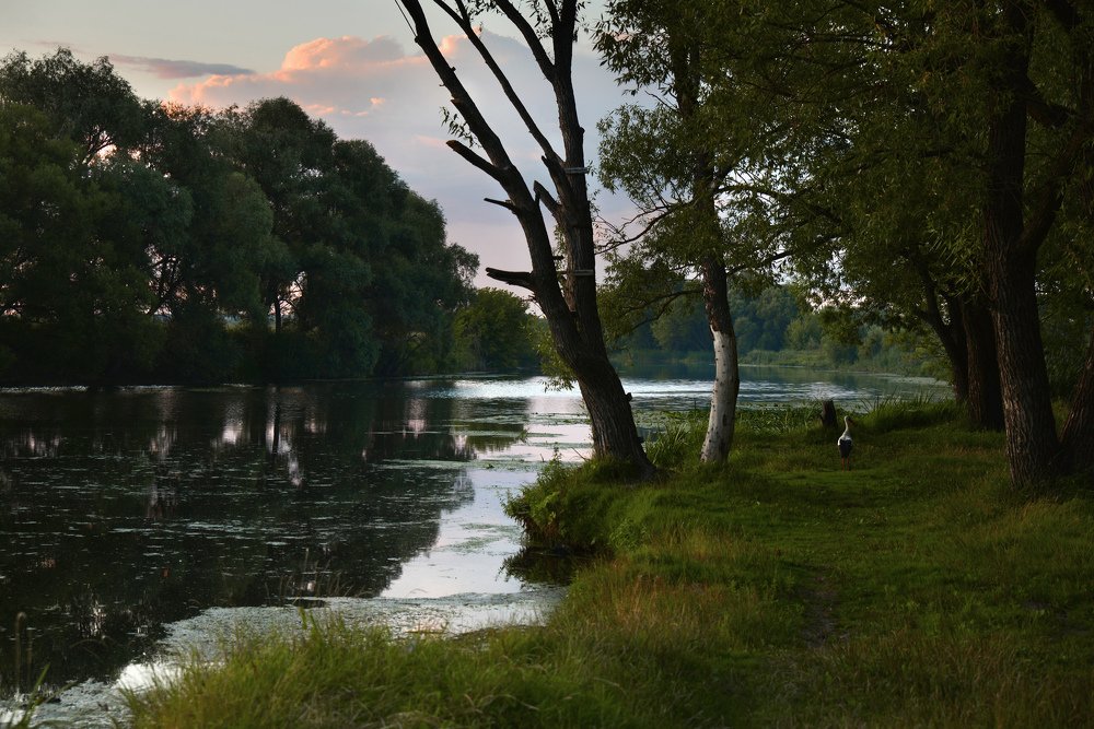 Photograph by Оксана Плугатарева