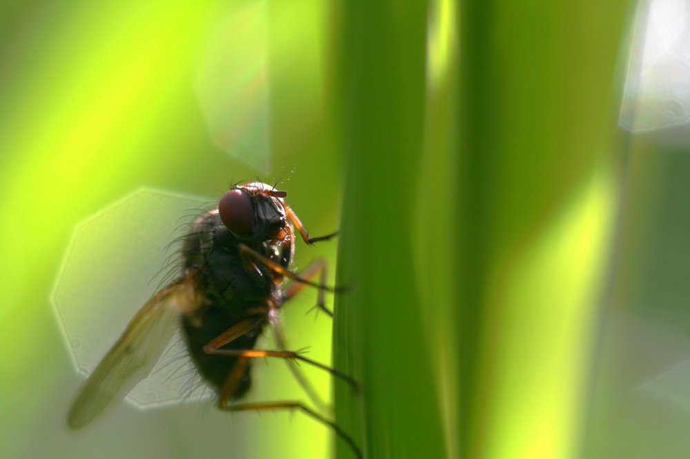 Photograph by Andres Papp