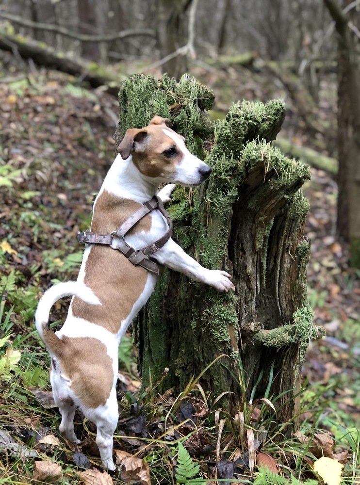 Photograph by людмила жукова