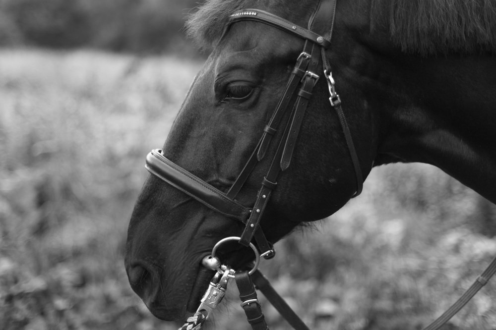 Photograph by Marie Dashkova