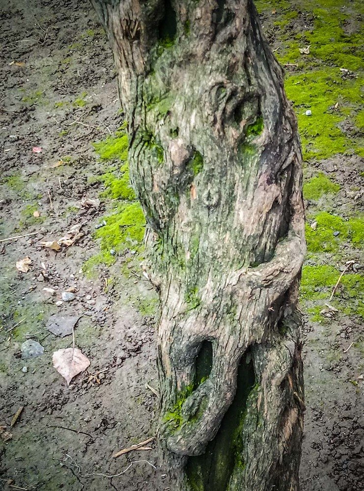 Зачем было?