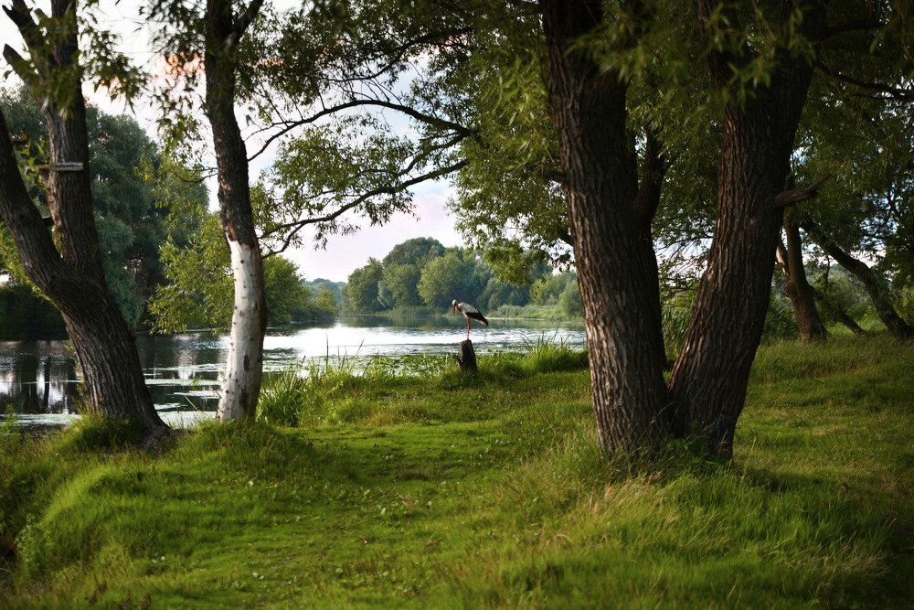 Photograph by Оксана Плугатарева