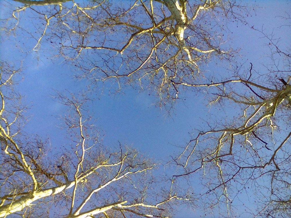 Photograph by Nikolozi Berishvili