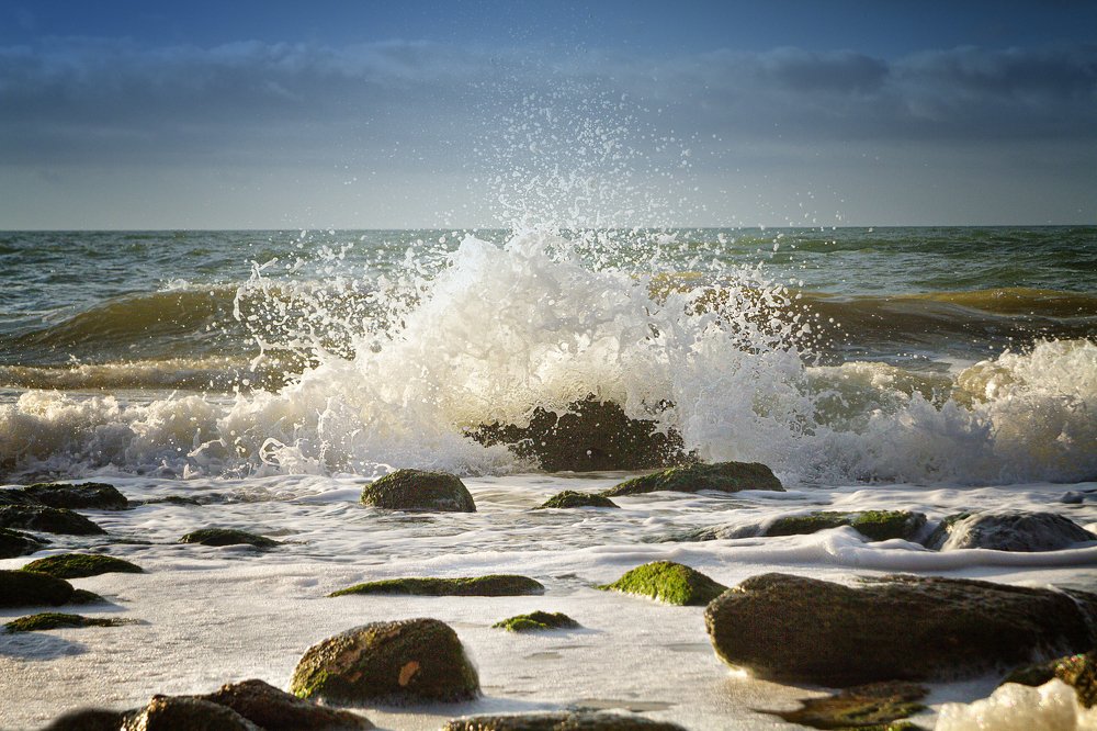 Photograph by Титаренко Ольга