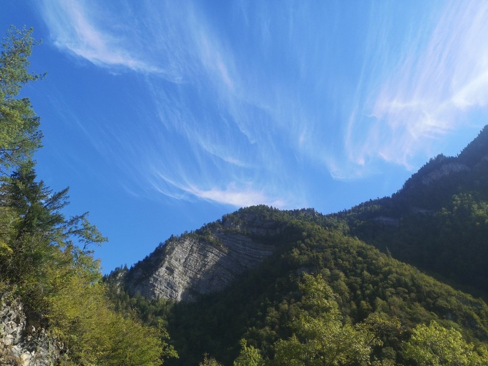 Photograph by Ирина Алексеевская