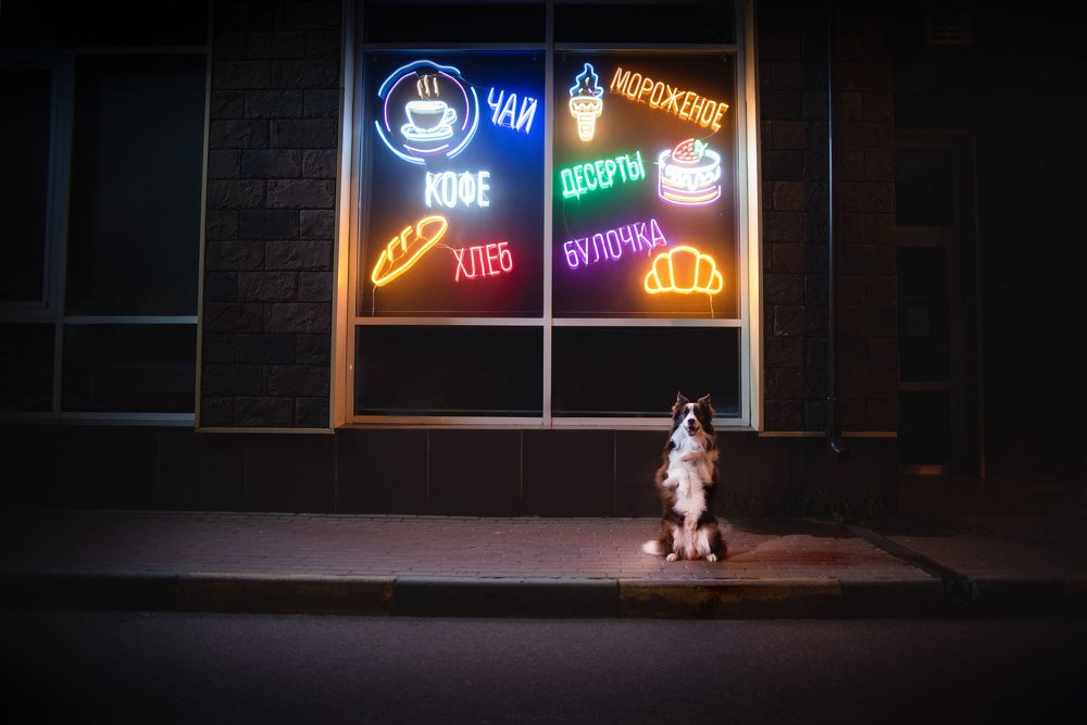 Photograph by Анна Пушина