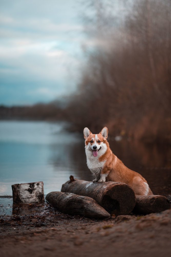 Photograph by Анна Пушина