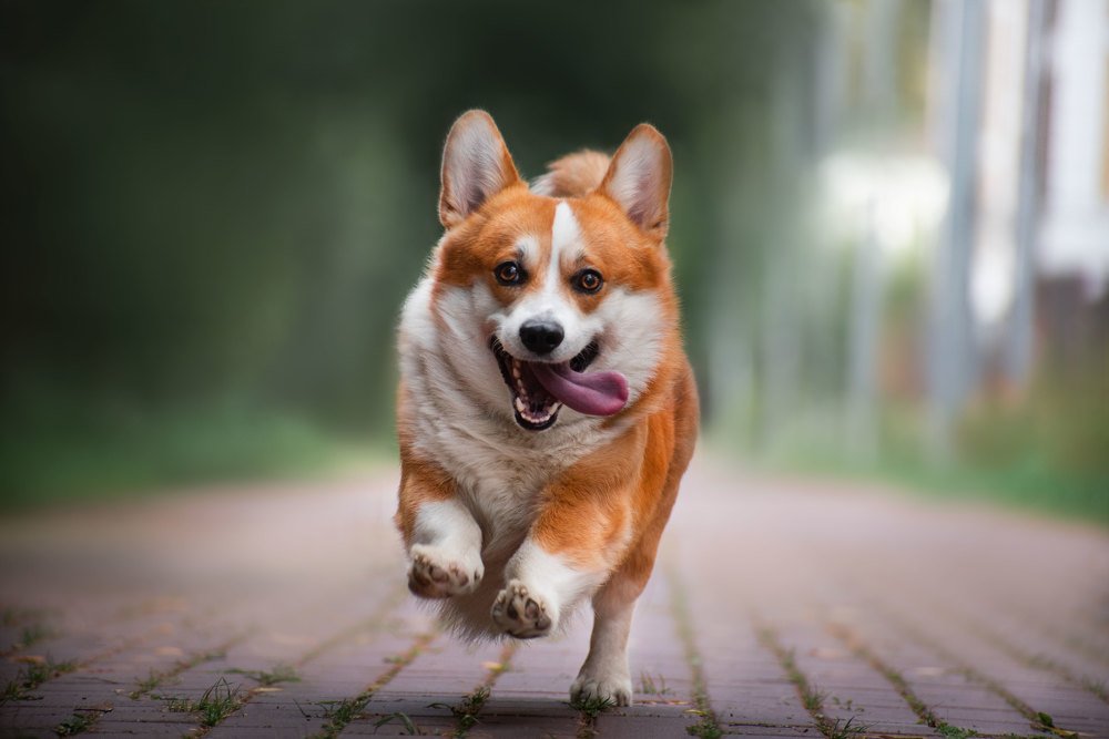 Photograph by Анна Пушина