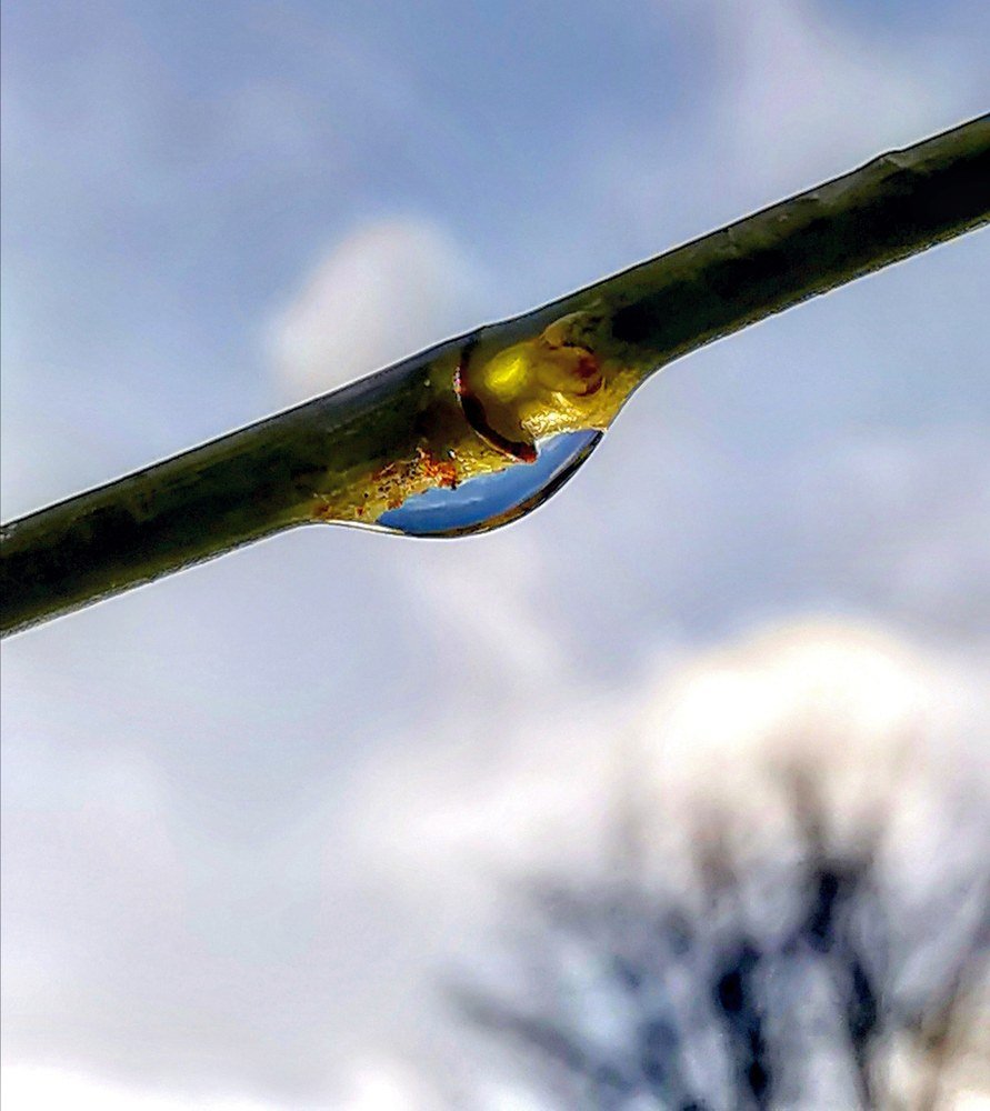 Фотография автора Павел Барский