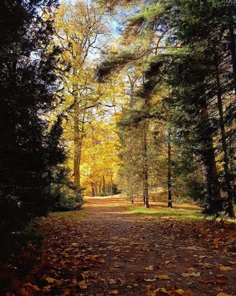 Photograph by Ирина Калюжная