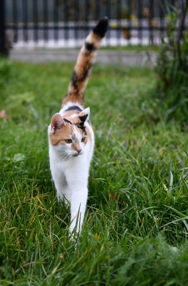 Фотография автора Iwona Moskalik