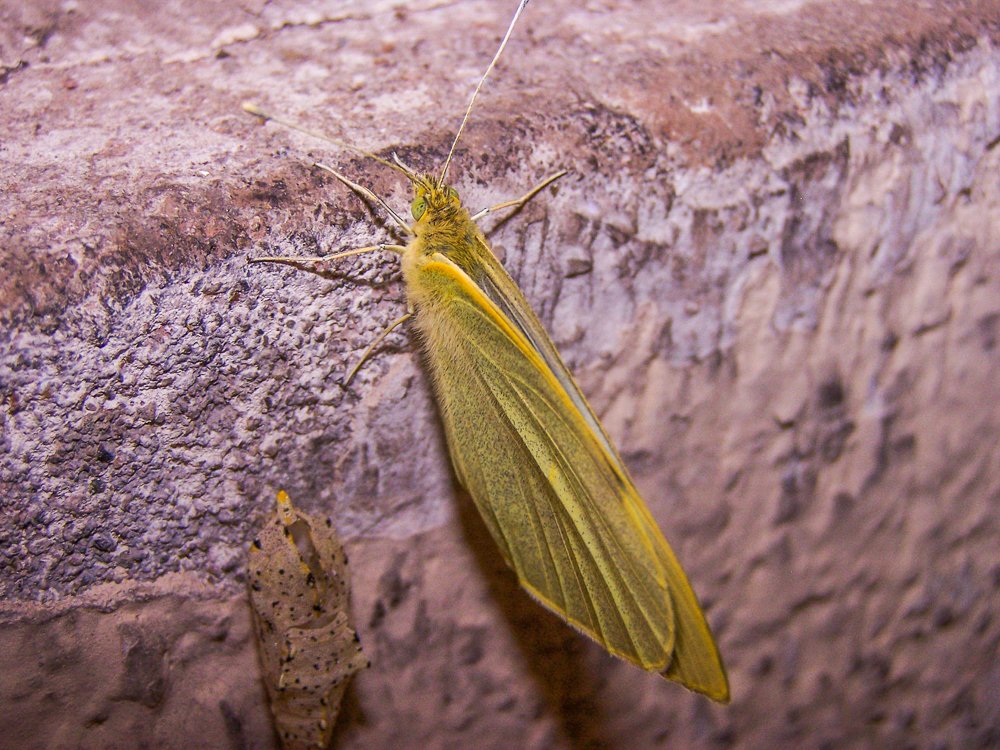 Photograph by Eduardo Vega