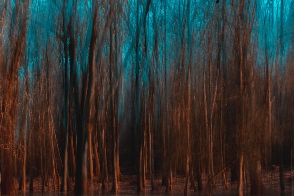 Photograph by Anastasios Mitsarakis