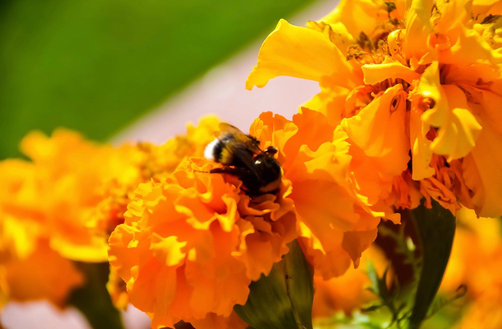 Photograph by Eduardo Vega