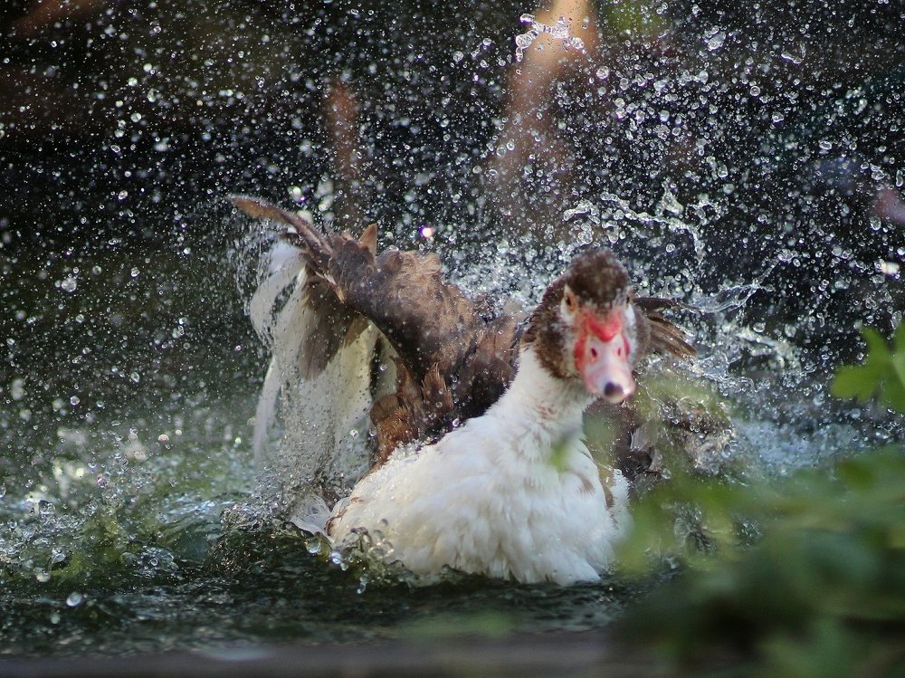 Photograph by Светлана Богомолова