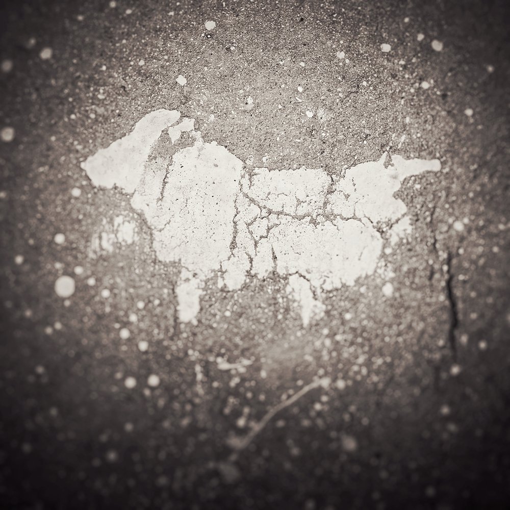 Photograph by Светлана Коваленко