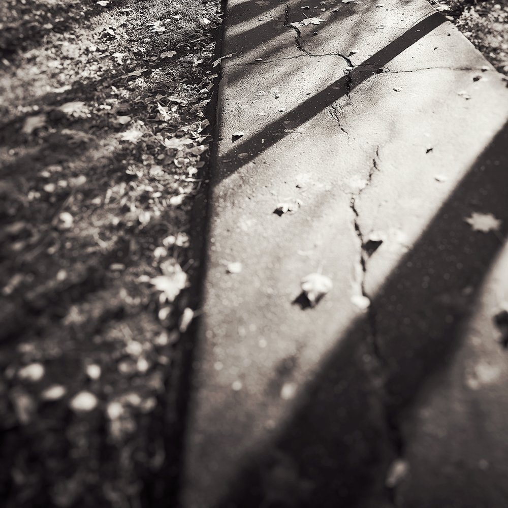 Photograph by Светлана Коваленко