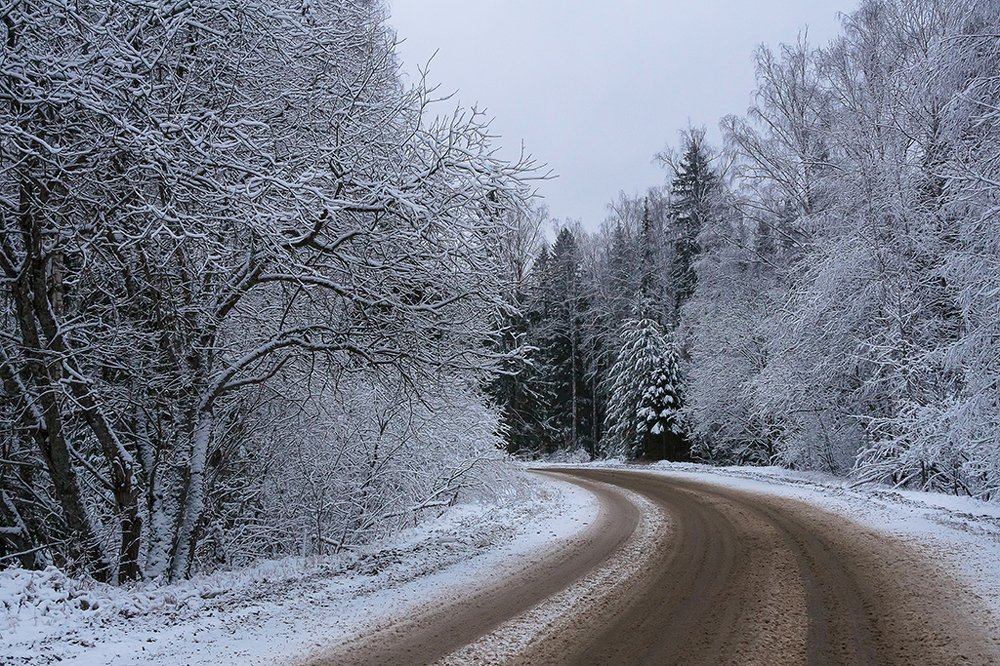 Первый снег декабря