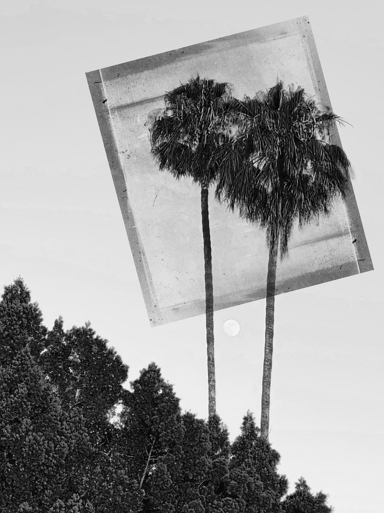 Photograph by James Fink