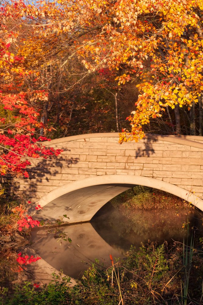 Photograph by Cindy Flick