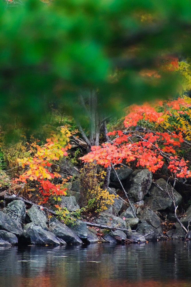 Photograph by Cindy Flick