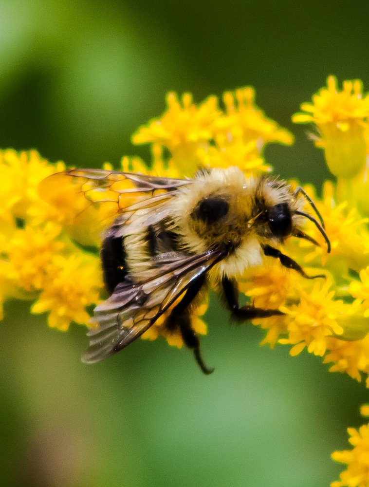 Photograph by Cindy Flick