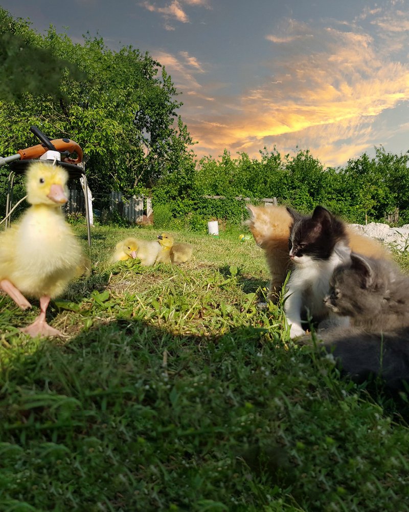 Photograph by Сергей Крайчик