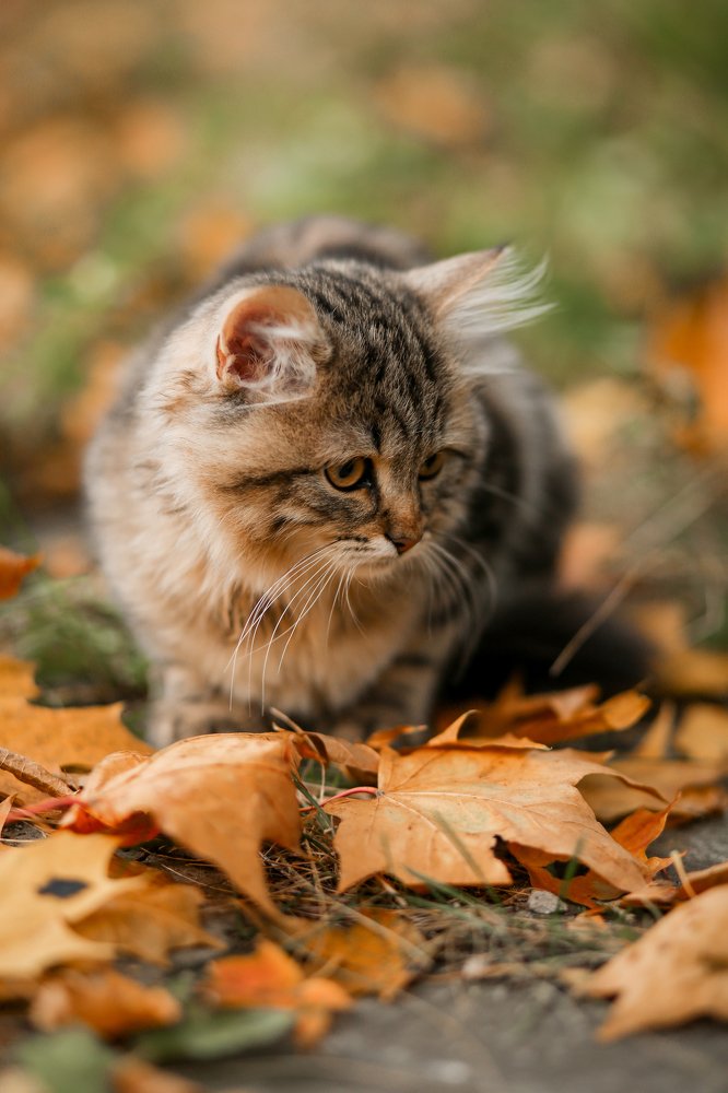 Photograph by Белевцева Инна Белевцева