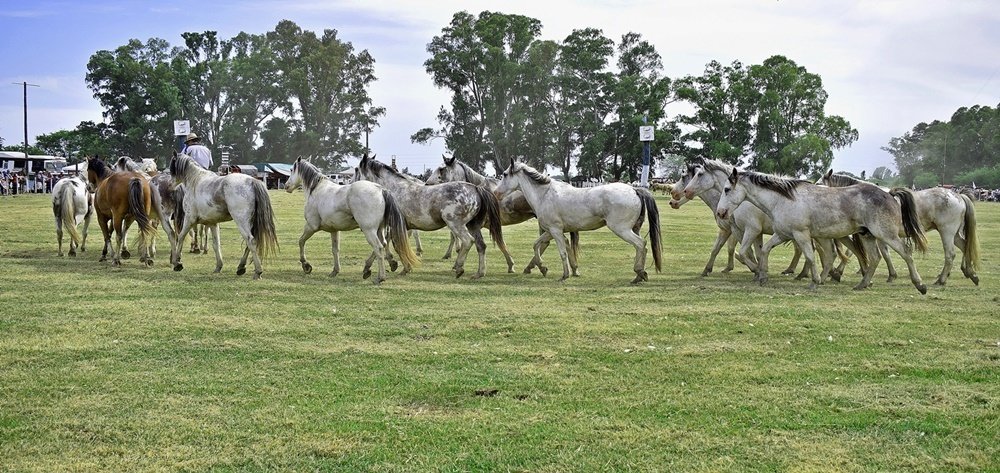 Photograph by Hector Daniel Cappuccio