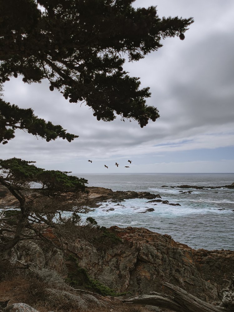 Photograph by Ольга