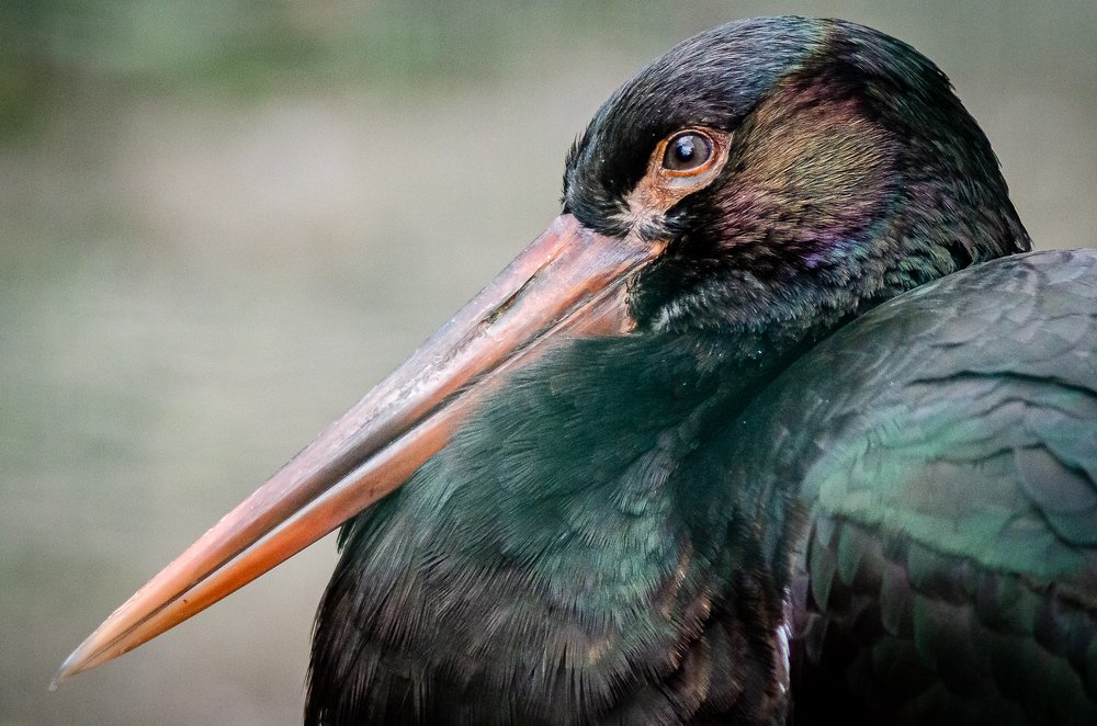 Фотография автора Владимир Брызгунов